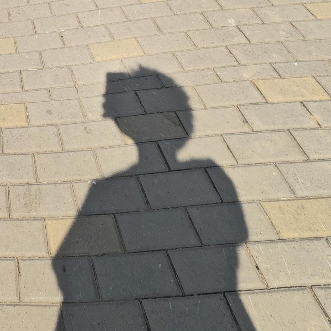 广千虫子