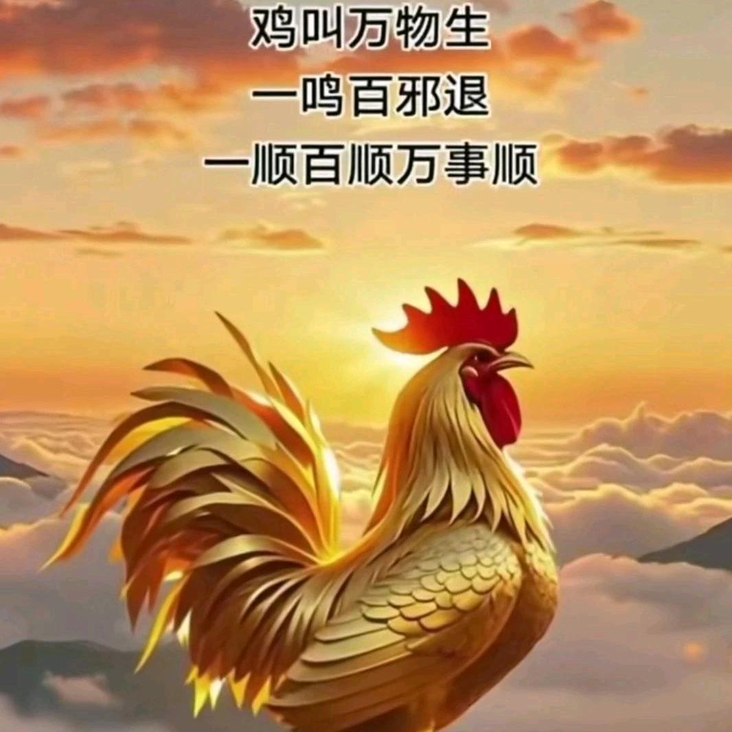 柱哥