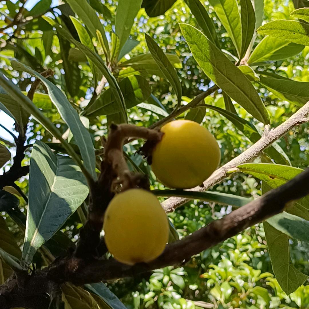 用户5959228871964濤