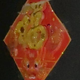 夜空中最亮的星520