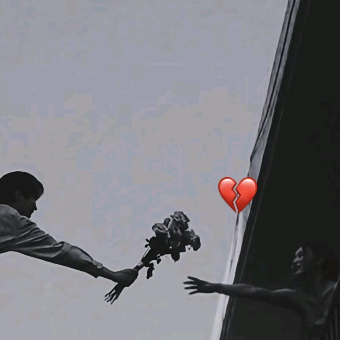 ࿐རིག་ལམ་འཚོལ་།🦋