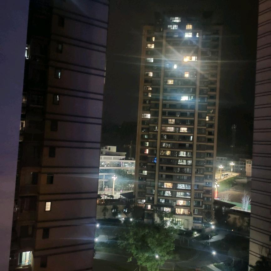陈学长