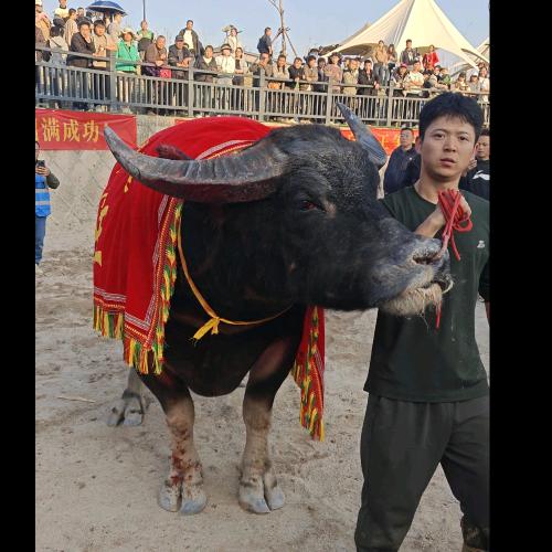 福建状元阁—小潘