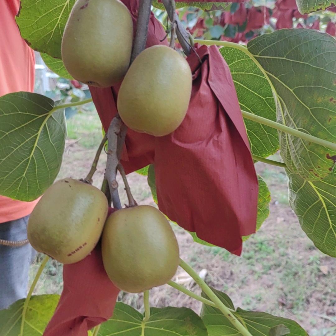 真诚相待，诚信为本