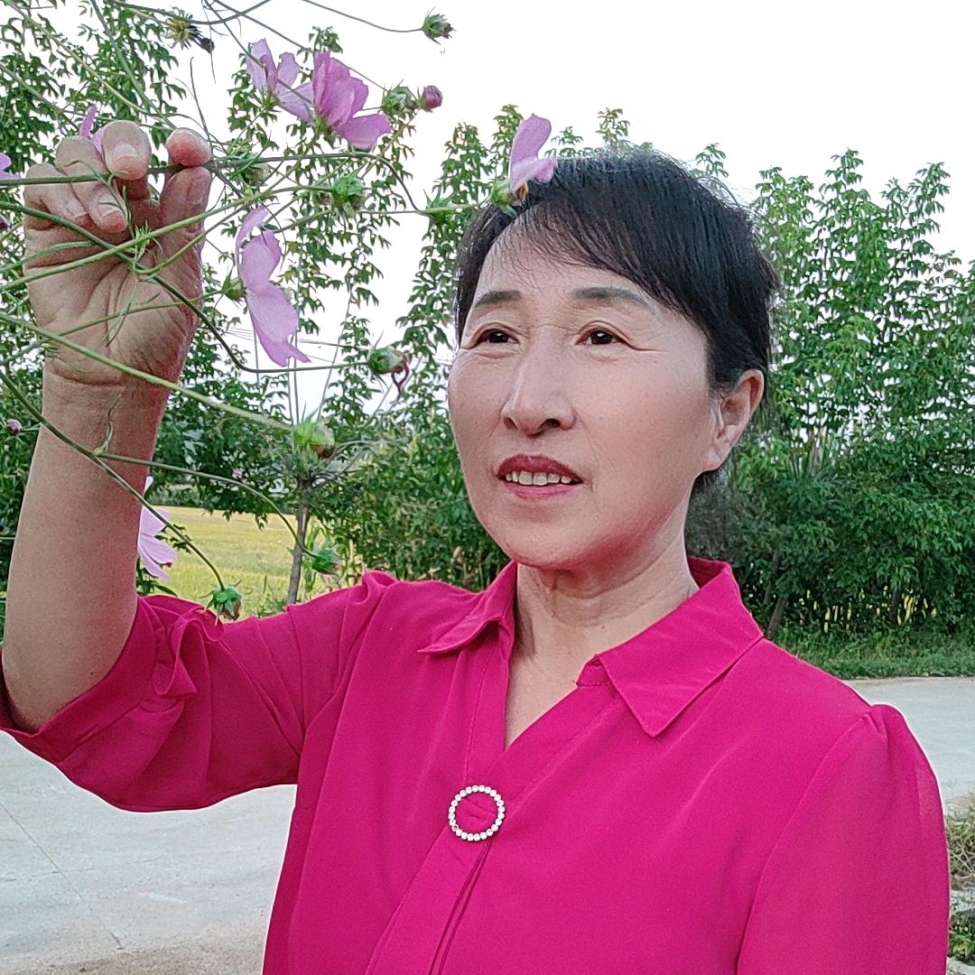 农村三姐