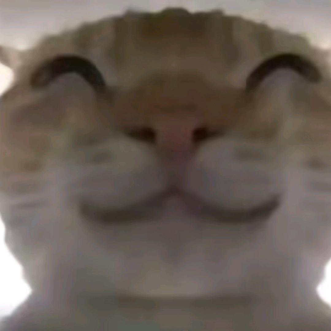 一得阁拉米