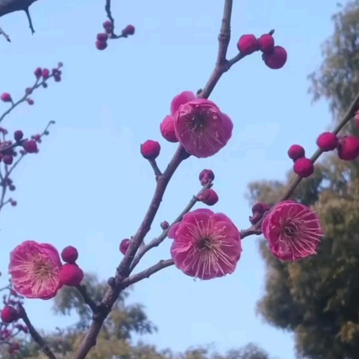 90后经过很多的苦，再苦再累也是靠自己努