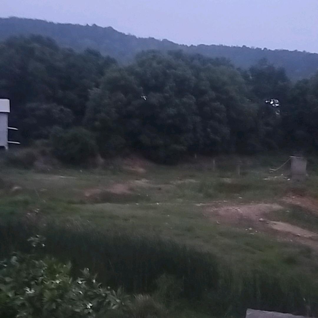 心如止水