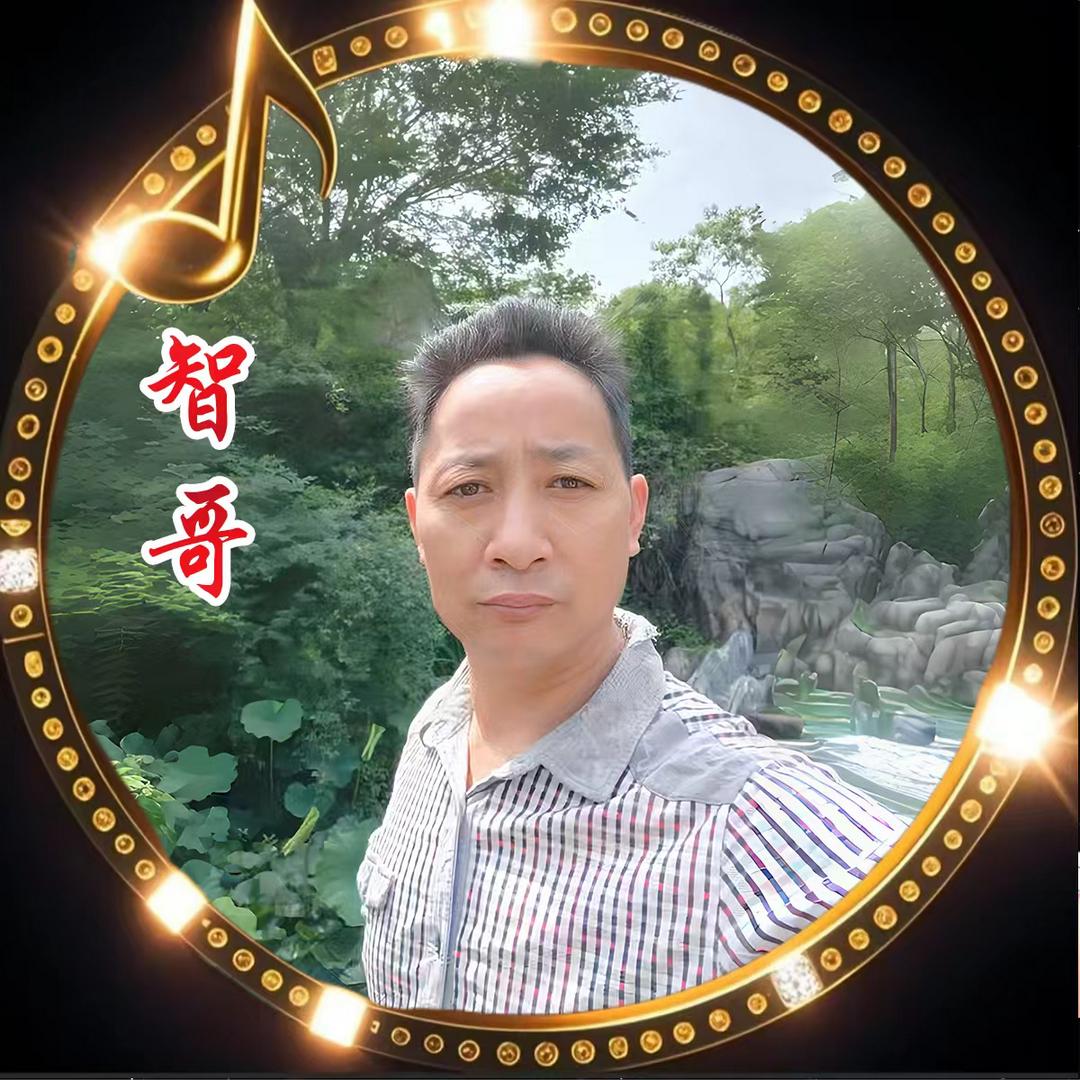 智哥（下午19:27直播)