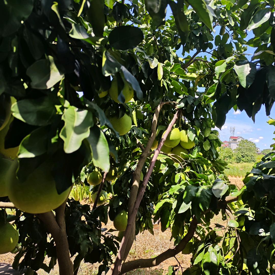 开心快乐每一天