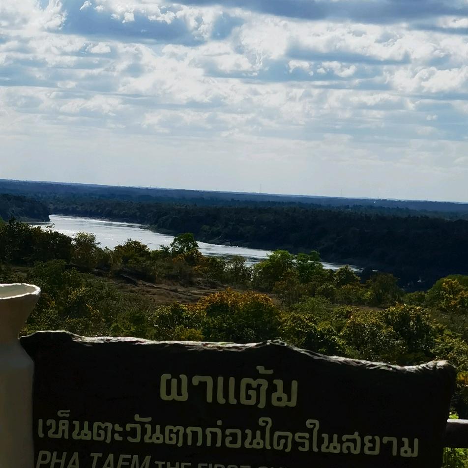 萨瓦迪卡🇹🇭野