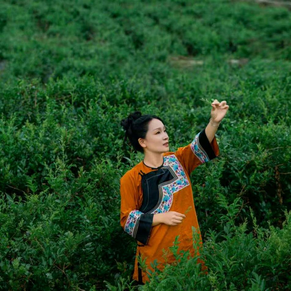 湘西王大妈土特产