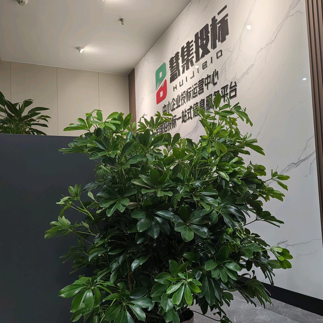 慧集投标匠心师