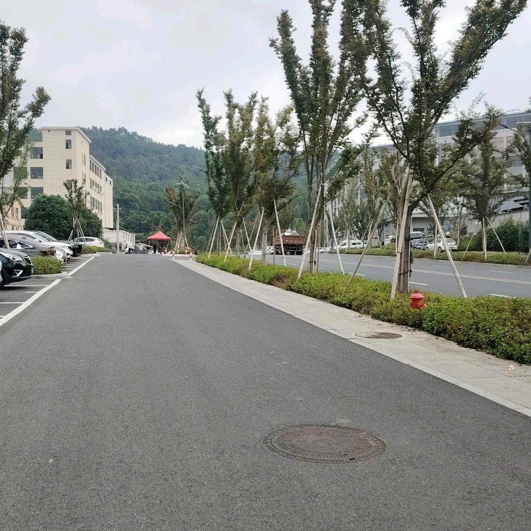 拖迪