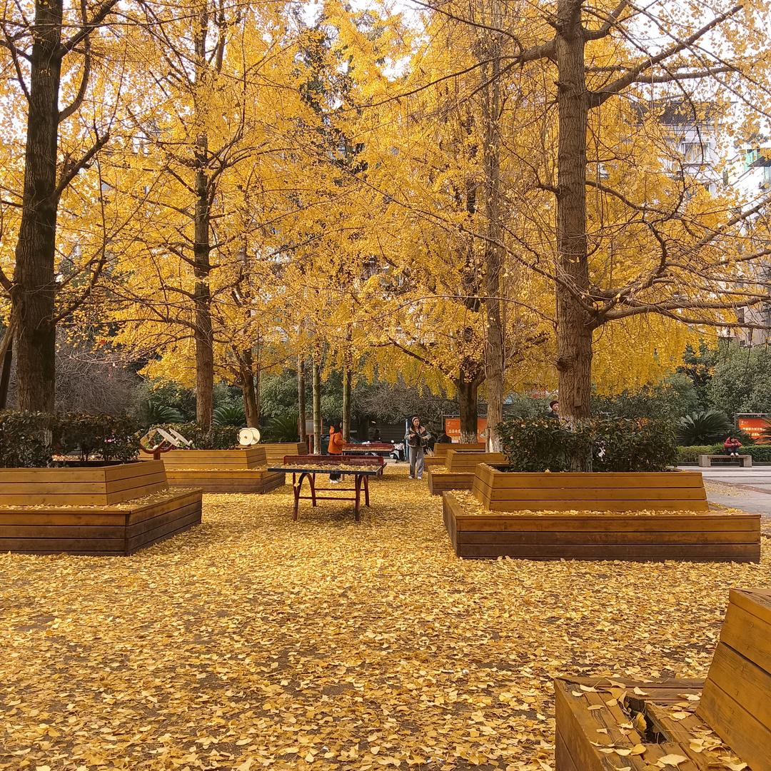 瑞雪💞纷飞ᎭLₑ