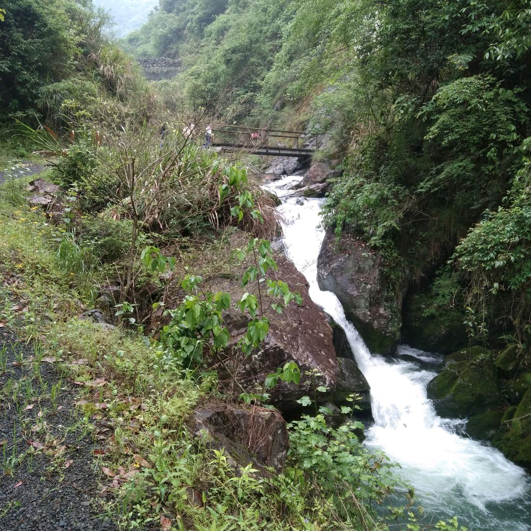 ও🕊ꦿꦼ一生᭄有李꧔ꦿ࿐้