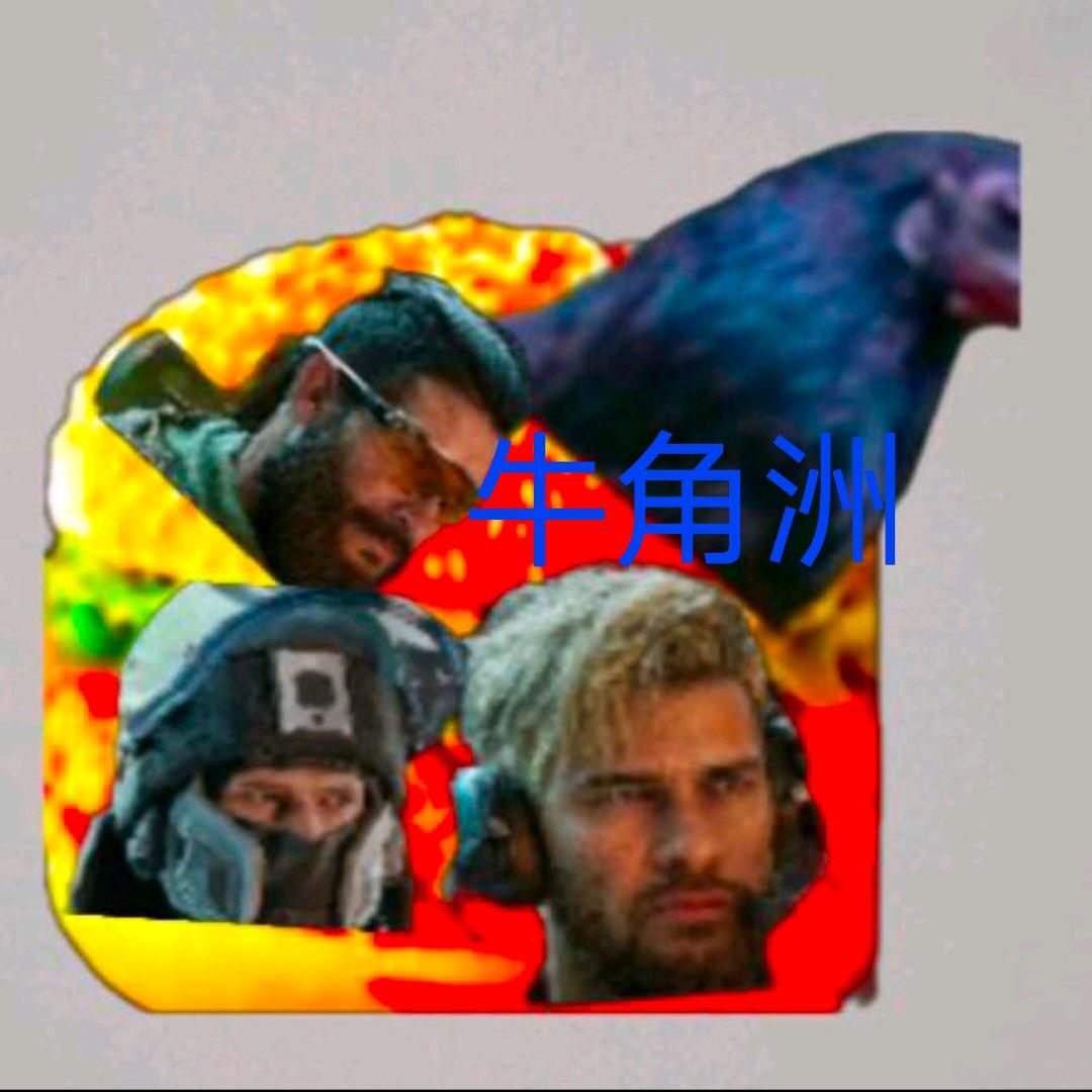 鸡煲(直播号)