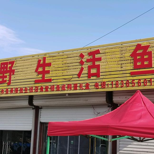 峡山野生活鱼（岞山店）