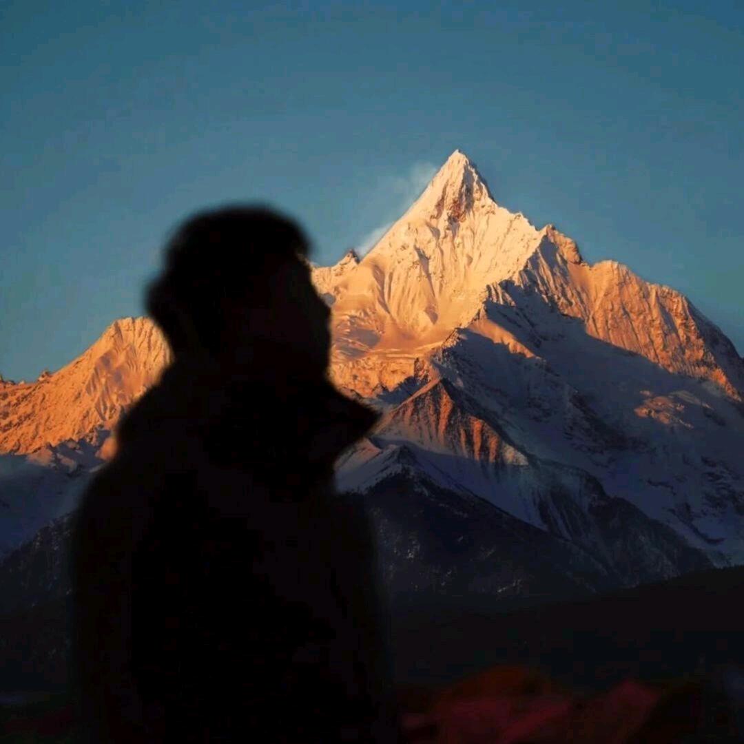 西伯利亚种水稻