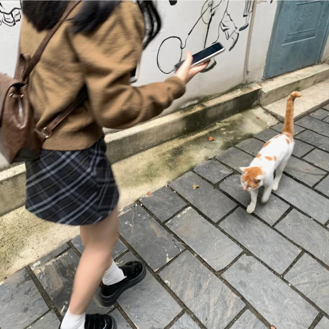 养只小猫叫栗子