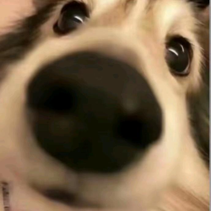 青春期（卡王）