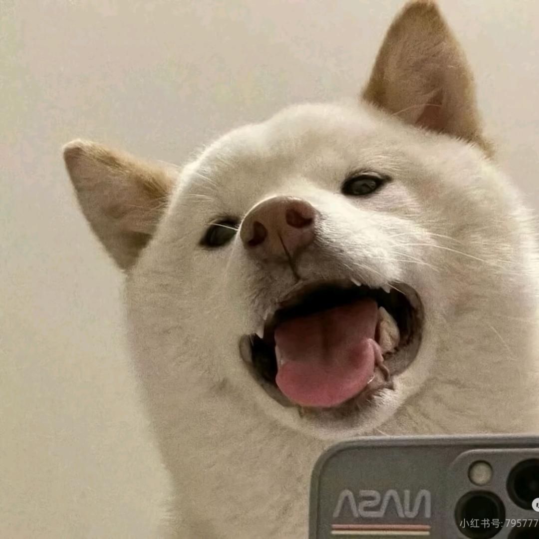 阿伟要努力💝