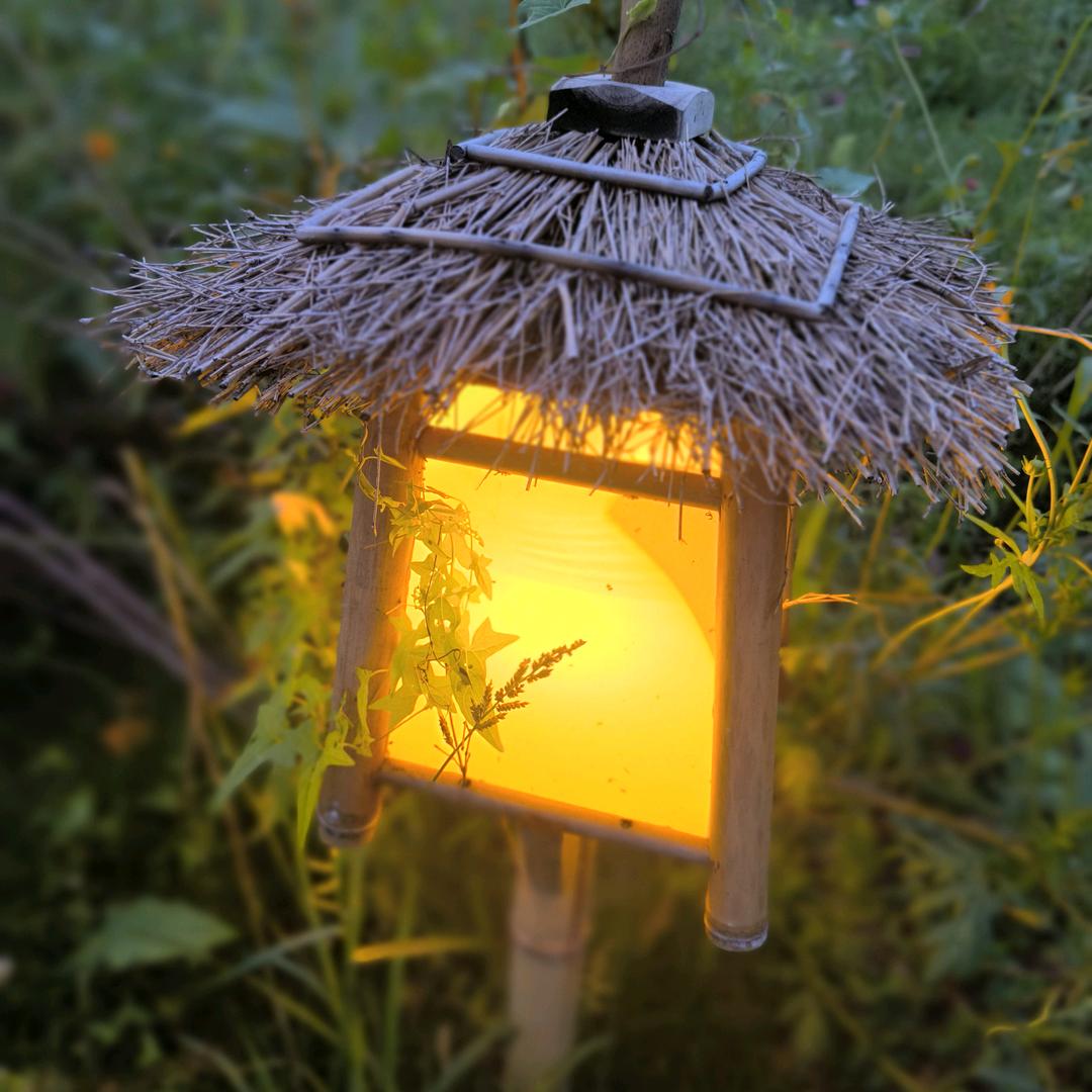 诗雨轩轩