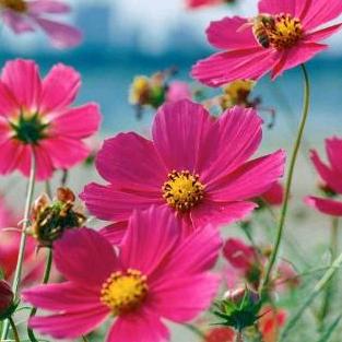 小编换号啦！详情看简介噢