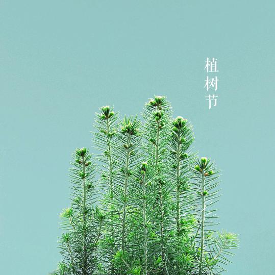 温柔的老公