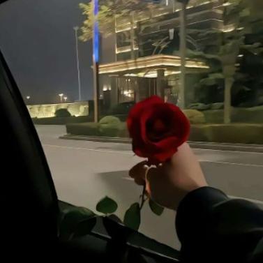 什么狗屁爱情。