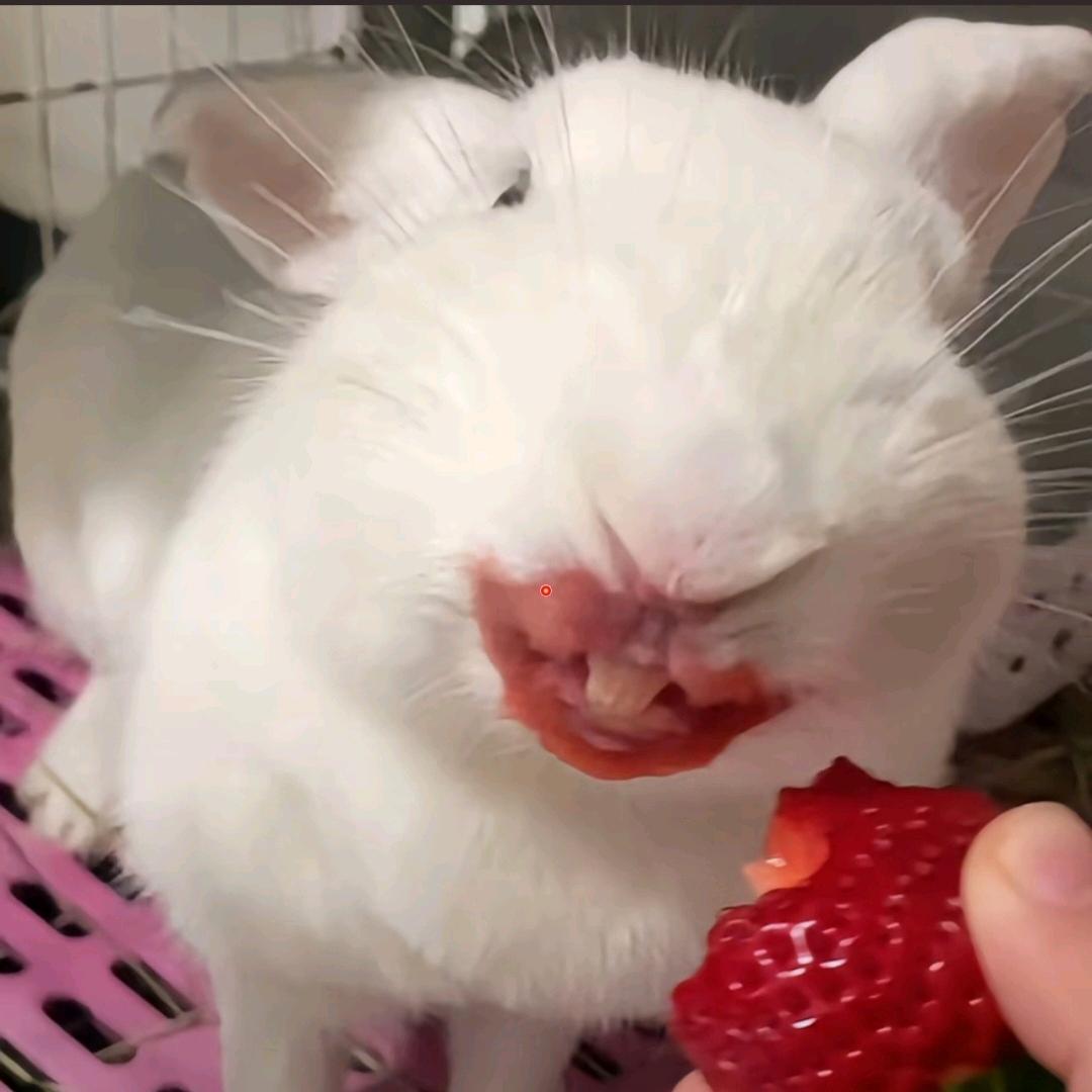 。。。。。。。。。。。。。。。
