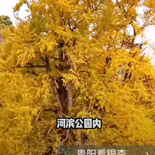 黄继荣