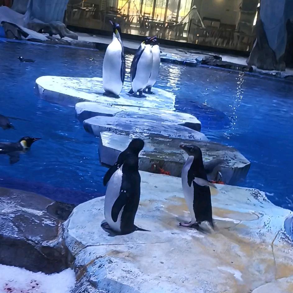 如果我想像风一样