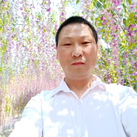虾子游三羊肉粉