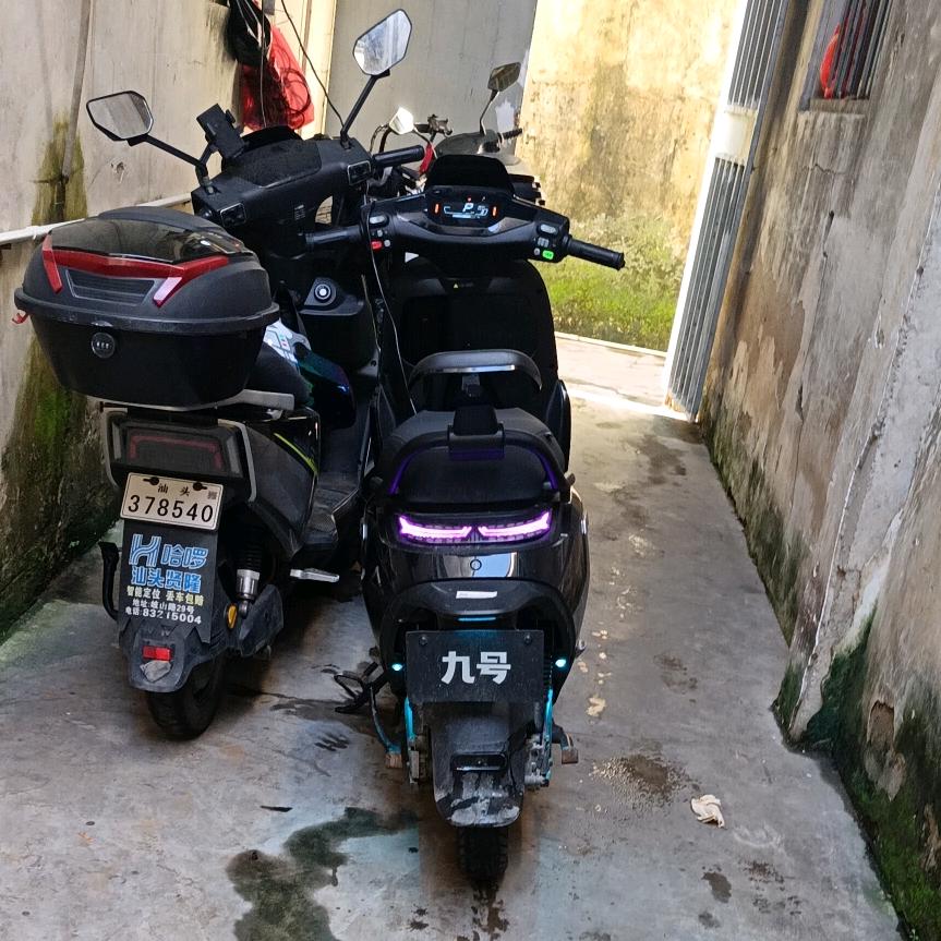 henanchenqⅰngyαη河南南阳