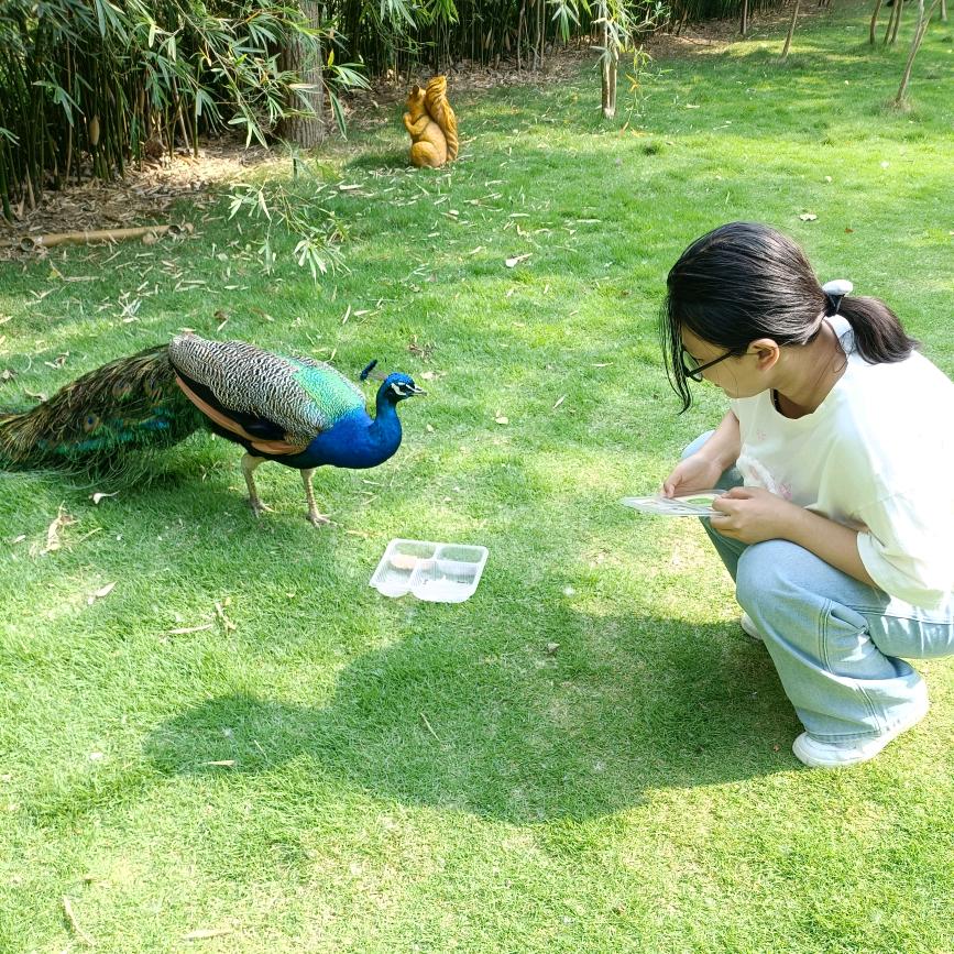用户3326799719759