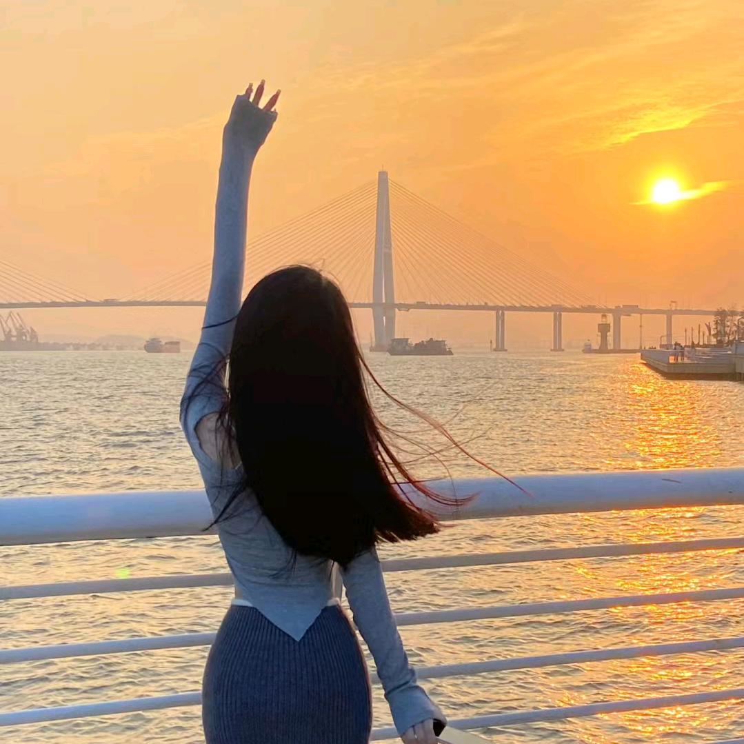 长空飞鸟
