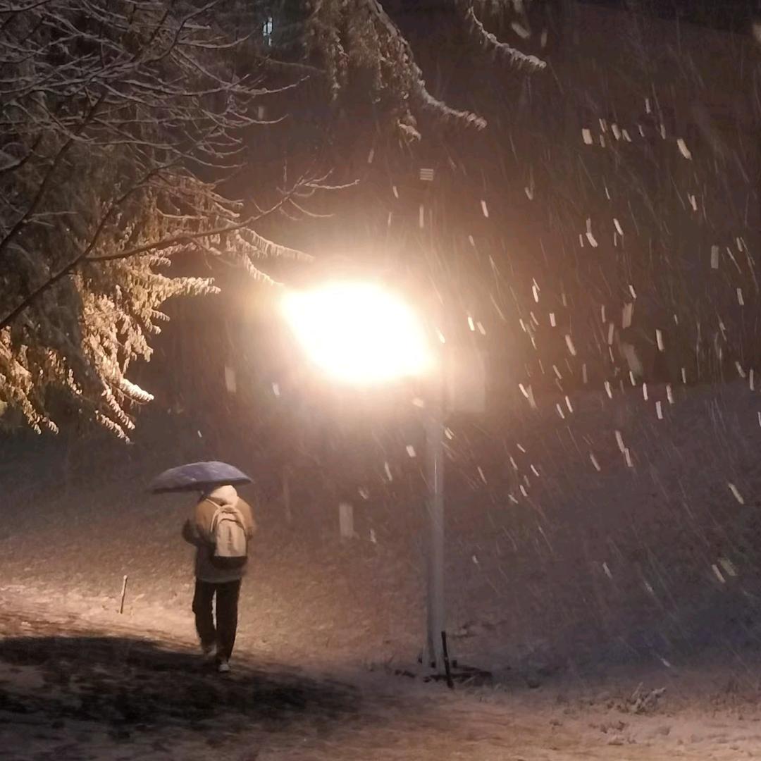 抖音皮皮