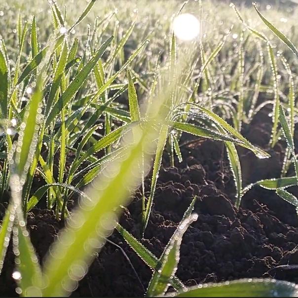 小艾乡村生活⁰⁵²⁷