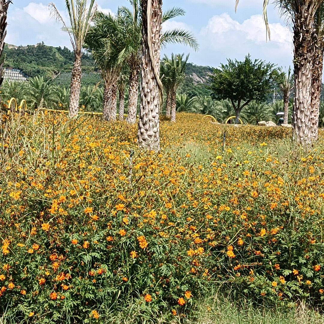 阳光在那刹那间温暖