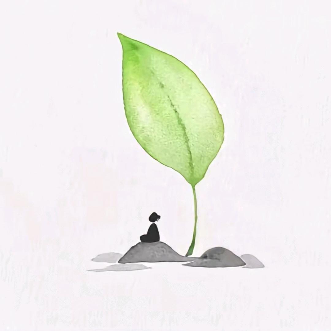 菩提小招式