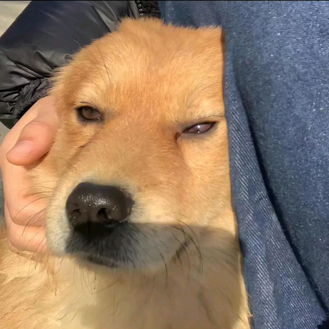 画画画画画画北