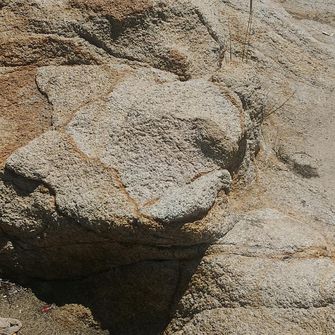 诗意
