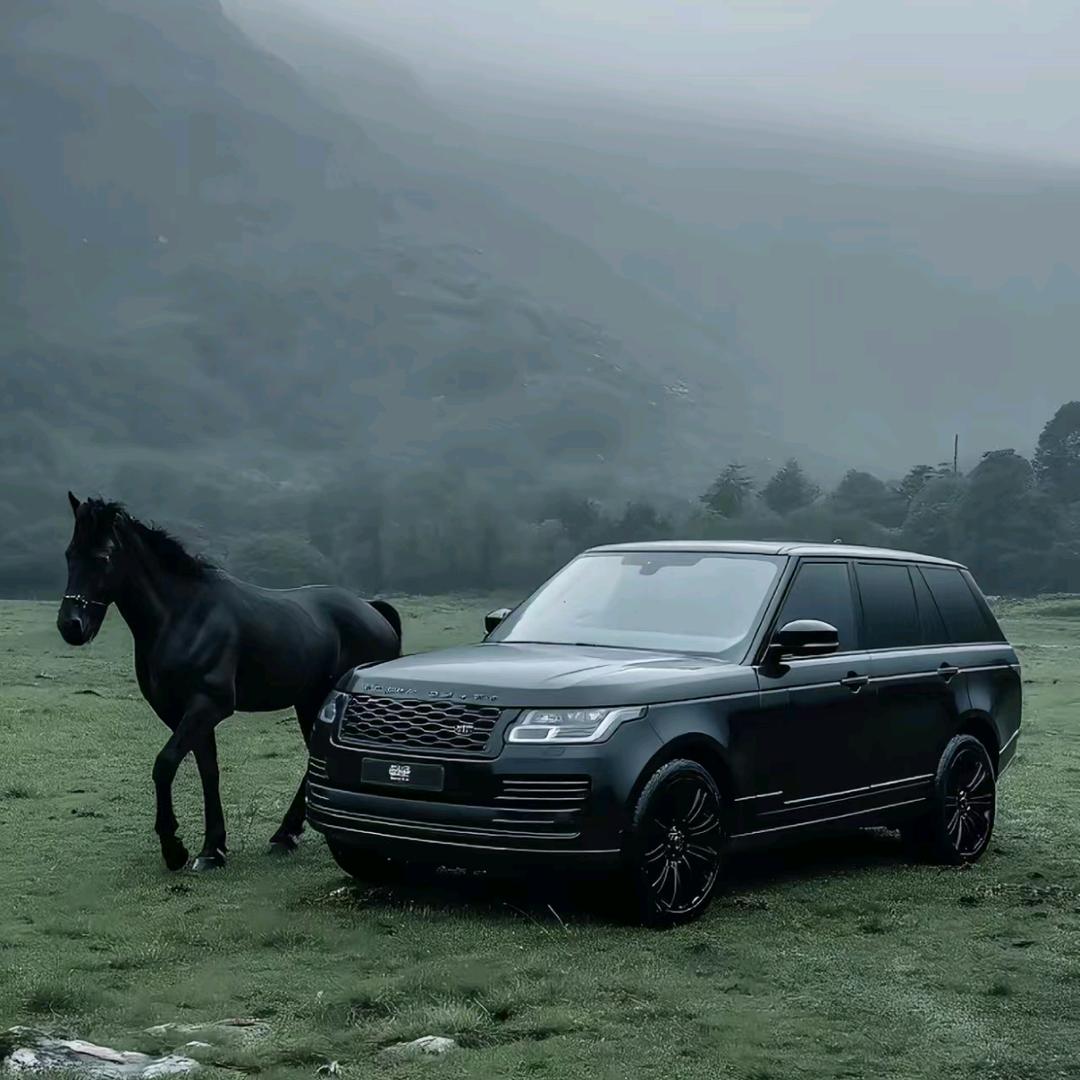 洪洞小王车库
