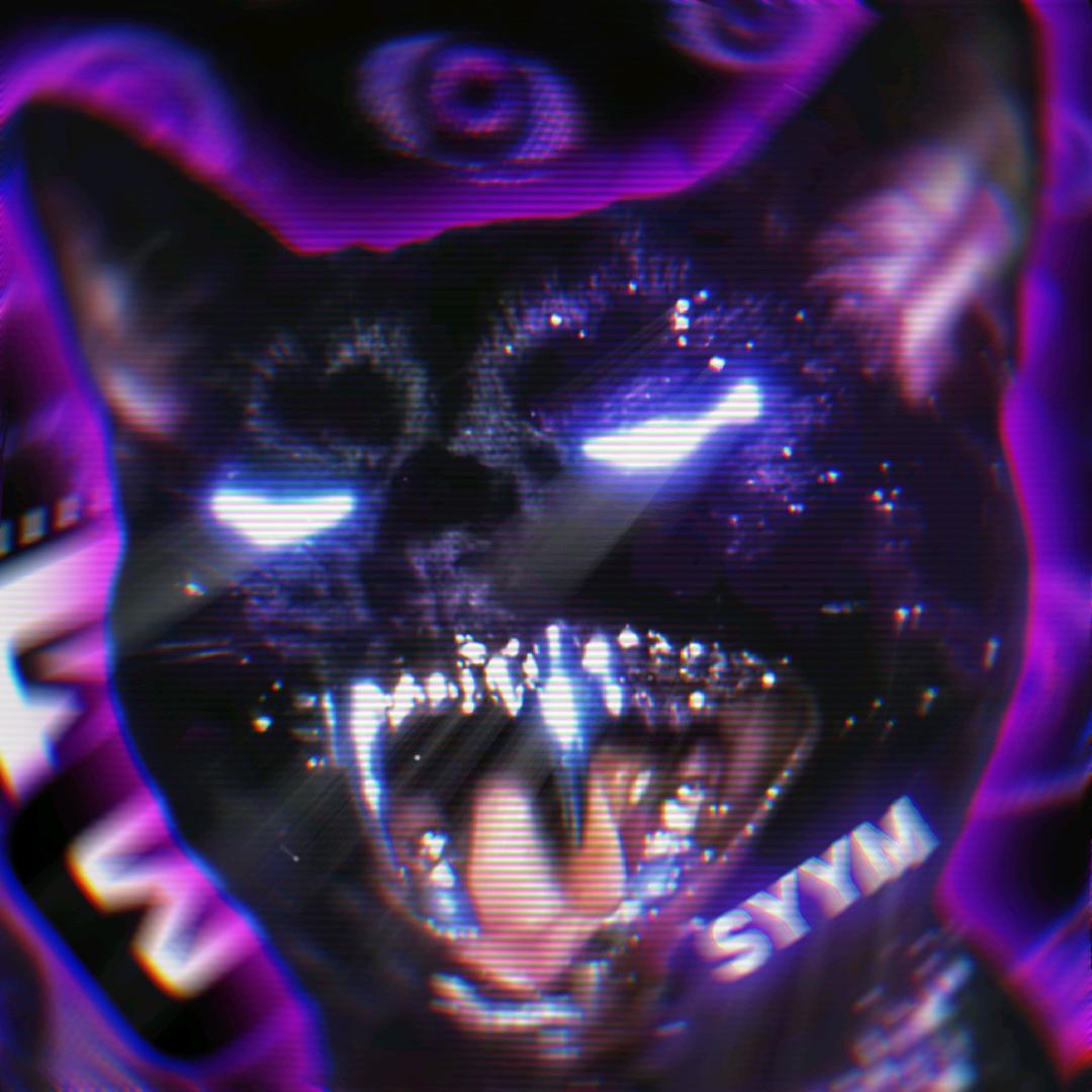 深渊野猫