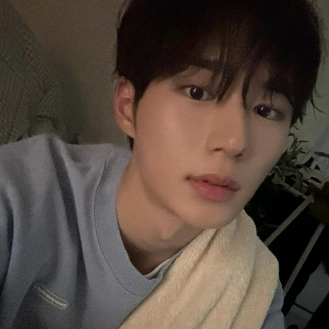 给我一份麦当劳