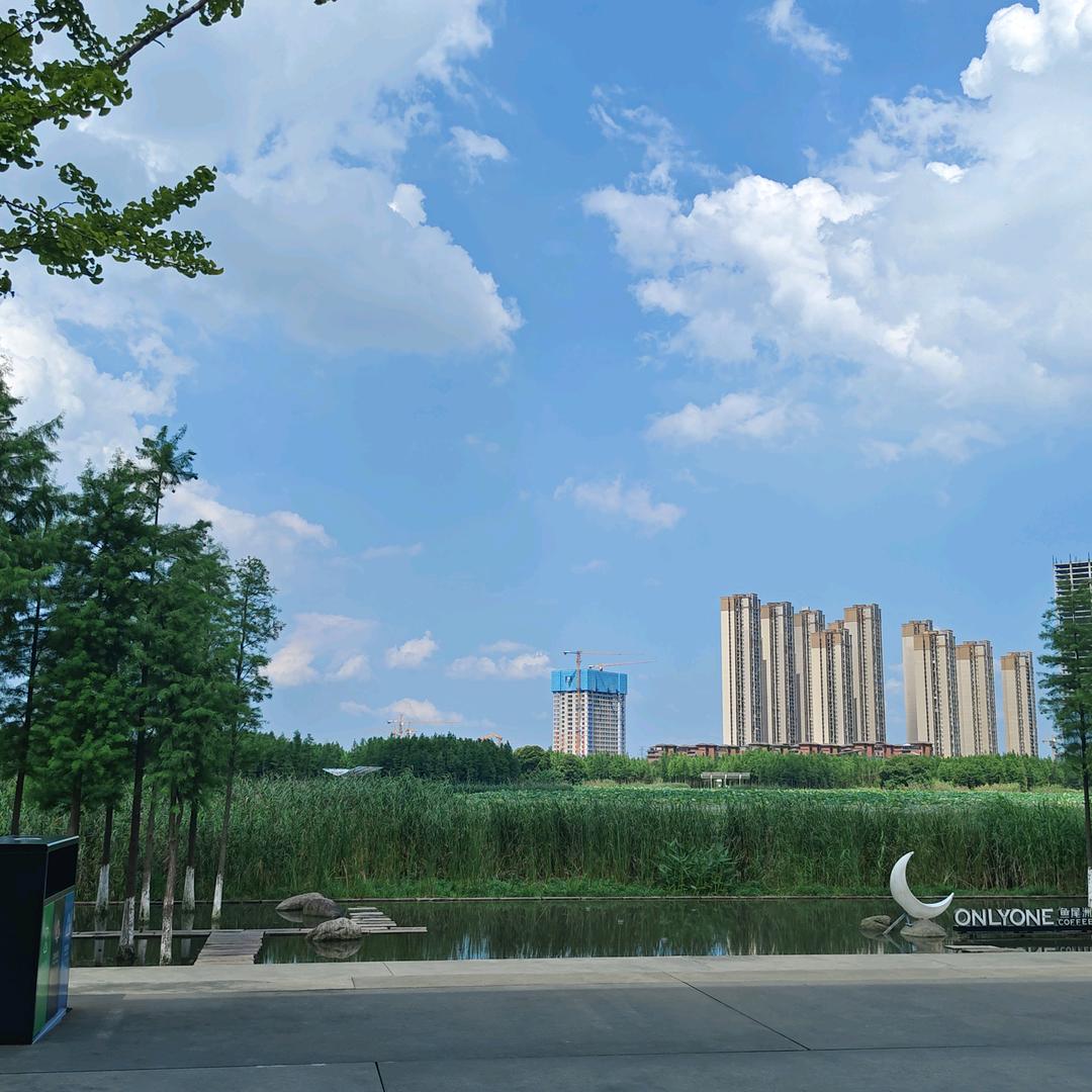 清风明月浮我心