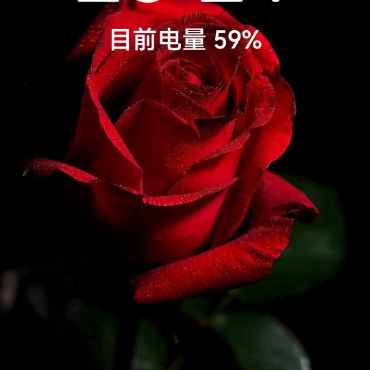 老头