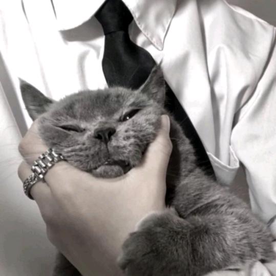 稳住 别浪 ✌🏽