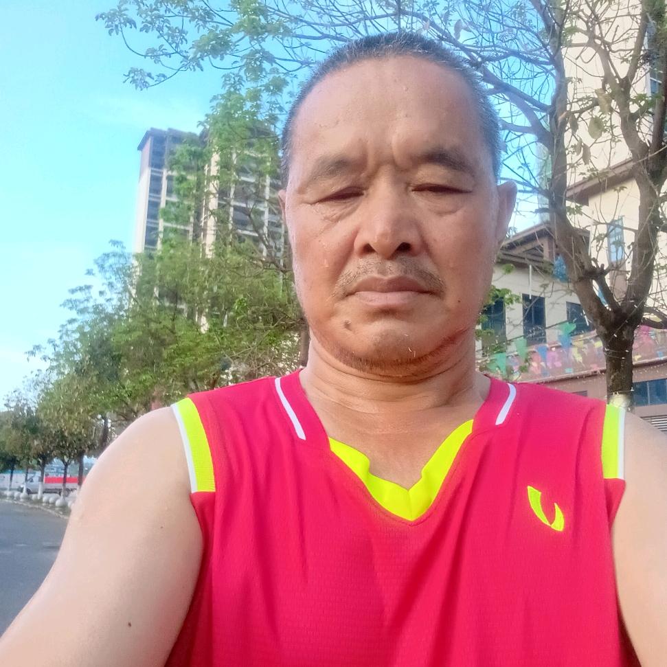 招财羊